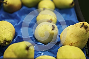 Ripe pears on the counter in a store. Vitamins and healthy foods. Close-up