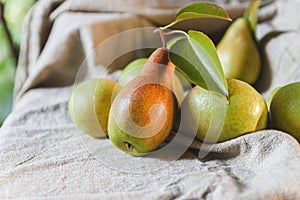 Ripe pears are scattered on a plain linen tablecloth. Simple village life and food. Top view, copy space