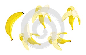 Ripe peeled banana with bitten off part of fruit. Harvesting tropical fruits. Healthy fruits set in cartoon style isolated on