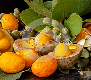 Ripe pequi fruits (Caryocar brasiliense). photo