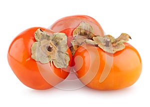 Ripe persimmons photo