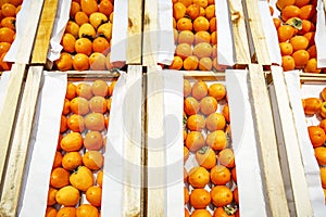 Ripe persimmons in wooden boxes. Healthy foods, vitamins and vegetarianism. Close-up