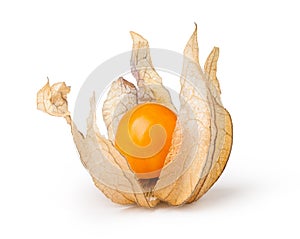 Ripe physalis