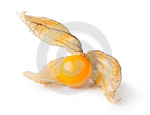 Ripe physalis