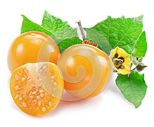 Ripe physalis or golden berry fruits with leaves and flower isolated on white background