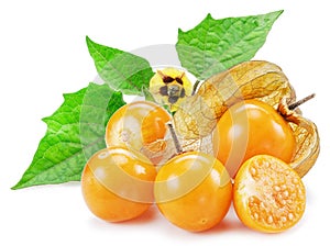 Ripe physalis or golden berry fruits with leaves and flower isolated on white background