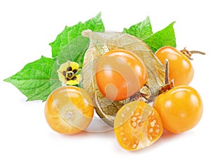 Ripe physalis or golden berry fruits with leaves and flower isolated on white background