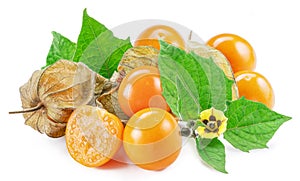 Ripe physalis or golden berry fruits with leaves and flower isolated on white background