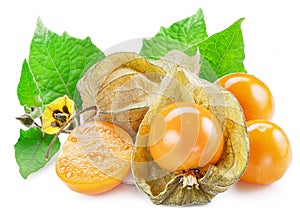 Ripe physalis or golden berry fruits with leaves and flower isolated on white background