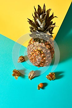 Ripe physalis with husk and pineapple on a blue yellow background