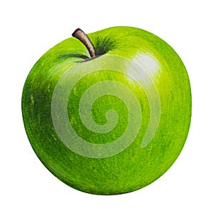 ripe picturesque green apple - drawing with colored pencils hand painted illustration.