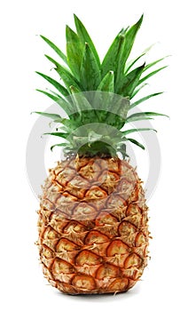 Ripe pineapple photo