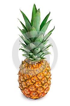 Ripe pineapple