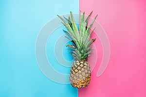 Ripe Pineapple with Bushy Green Leaves on Split Duotone Pink Blue Background. Summer Vacation Travel Tropical Fruits Vitamins