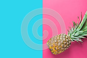 Ripe Pineapple with Bushy Green Leaves on Split Duotone Pink Blue Background. Summer Vacation Travel Tropical Fruits Vitamins