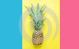 Ripe Pineapple with Bushy Green Leaves on Split Triple Tone Pink Blue Yellow Background. Summer Vacation Travel Tropical Fruits
