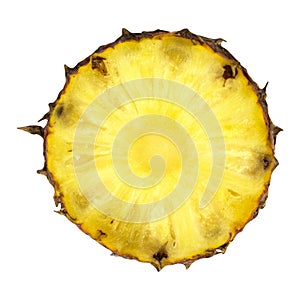 Ripe pineapple cut closeup photo on white background, Pineapple yellow flesh with texture.