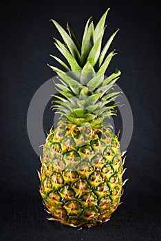 Ripe pineapple on dark gradient background photo