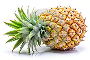 Ripe Pineapple Fruit. Ripe Pineapple on White Background