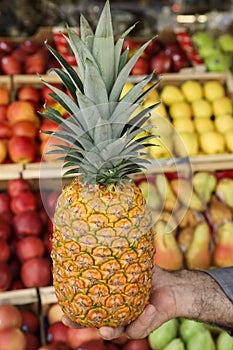 Ripe pineapple in the hand of the seller of the greek vegetable shop on the fruit shelves background