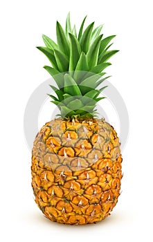 Ripe pineapple isolated on white background with clipping path