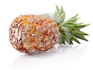 Ripe pineapple lying horizontally isolated on white background