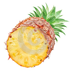 Ripe pineapple and pineapple slices isolated on white background. File contains clipping path