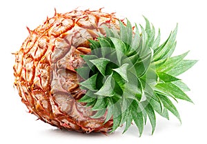 Ripe pineapple and pineapple slices isolated on white background. File contains clipping path photo