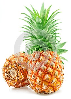 Ripe pineapple and pineapple slices isolated on white background. File contains clipping path photo
