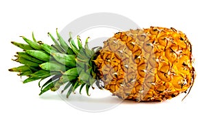 Ripe pineapple on white background, pineapple on isolated background