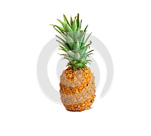 Ripe pineapple on white background, pineapple on isolated background