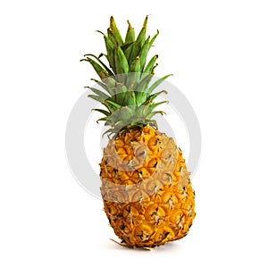 Ripe pineapple on white background, pineapple on isolated background