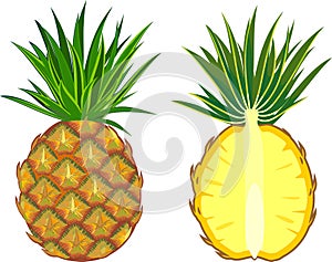 Ripe pineapple, whole and in longitudinal section