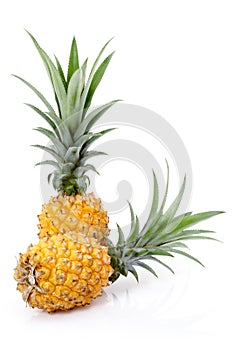 Ripe Pineapples