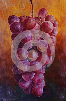 Ripe pink grapes painting photo