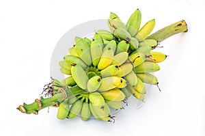 Ripe Pisang Mas banana or Musa :Kluai Khai, famous small golden