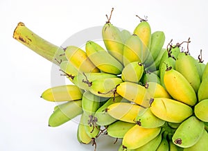 Ripe Pisang Mas banana or Musa :Kluai Khai, famous small golden