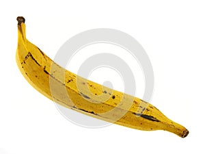 Ripe Plantain banana photo