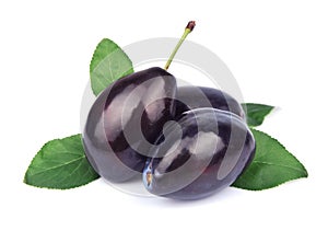 Ripe plum fruit