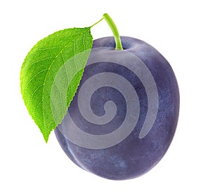 Ripe plum with green leaf. With clipping path