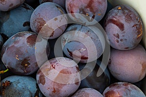 Ripe plums. Plum with a few leaves. Close up of fresh plums, top view. Macro photo food fruit plums. Texture background of fresh