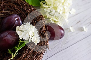 Ripe plums in a vine basket on a wooden background, hydrangea flowers lie nearby