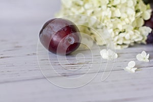 Ripe plums on a wooden background, hydrangea flowers lie nearby.