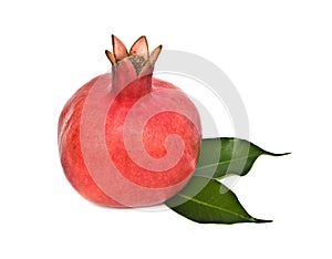 Ripe pomegranate
