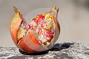 Ripe juicy pomegranate isolated on homogeneous background photo