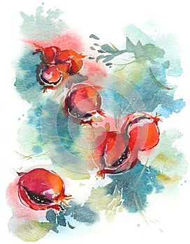 Ripe pomegranate tree watercolor background hand painted