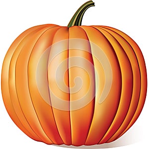 Ripe Pumpkin