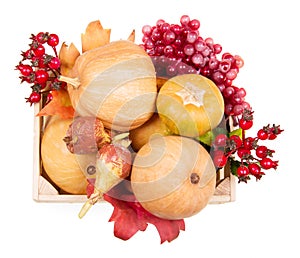Ripe pumpkin and autumn berries in wooden box on white.