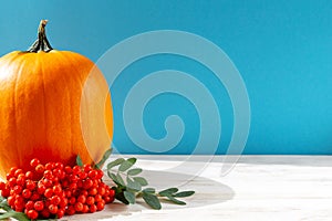 Ripe pumpkin and branches with rowan berries on a blue and white background