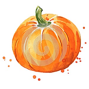 Ripe pumpkin watercolor illustration hand painted